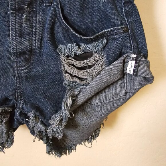 One Teaspoon Distressed Cut Off Fox Black Bandits Denim Jean Shorts - Picture 6 of 14